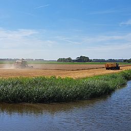 Guest house 590516 - Holiday property Noord-Beveland - ZE1511