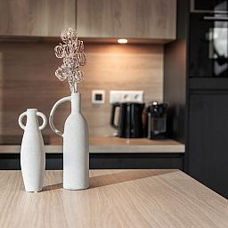 Unterkunft 600108 - Ferienhaus Schouwen-Duiveland - Wellness Lodge 2