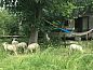 Unterkunft 600307 • Ferienhaus Schouwen-Duiveland • Huisje in Zierikzee  • 7 von 14