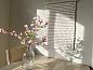 Guest house 600420 • Holiday property Schouwen-Duiveland • Vakantiehuis in Burgh-Haamstede  • 8 of 20