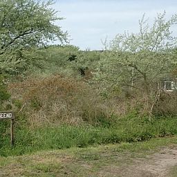 Eingang zum Ferienhaus in Burgh-Haamstede, umgeben von viel Gruen in Burgh-Haamstede, Schouwen-Duiveland, Zeeland.
