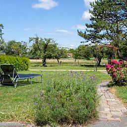 Uitzicht op de groene omgeving van Huisje in Renesse, perfect voor ontspanning in Zeeland.