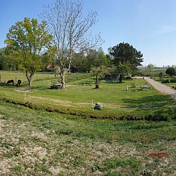 Panoramisch uitzicht op het landschap rondom Huisje in Renesse, ideaal voor natuurliefhebbers.