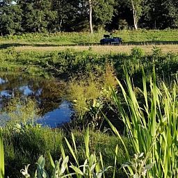 Rustieke vijver en groene omgeving bij Huisje in Renesse, een serene vakantiebestemming in Zeeland.
