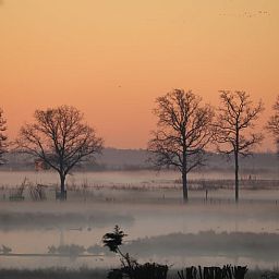 Breathtaking view at sunrise around Cottage in Renesse, vacation home in Schouwen-Duiveland.