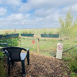 Uitzicht op natuur vanuit VZ182 Vakantiehuis Kerkwerve in Zeeland.