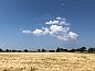 Guest house 601316 • Holiday property Schouwen-Duiveland • Huisje in Zonnemaire  • 14 of 26