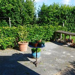 Blick aus dem Fenster des Ferienhauses in Dreischor, einem Ferienhaus in Schouwen-Duiveland, Zeeland, mit einem gruenen Garten und einem Teich.