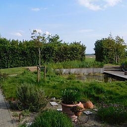 Gemuetlicher Aussenbereich von Holiday home in Dreischor, einem Ferienhaus in Schouwen-Duiveland, Zeeland, umgeben von ueppiger Natur.