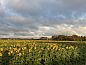 Guest house 602017 • Holiday property Schouwen-Duiveland • Buitenplaats Oudendijke 6 pers  • 13 of 13