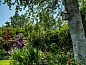 Guest house 603219 • Holiday property Schouwen-Duiveland • Vakantiewoning Schouwse Stee 2  • 6 of 26