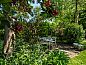Guest house 603219 • Holiday property Schouwen-Duiveland • Vakantiewoning Schouwse Stee 2  • 8 of 26