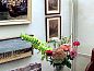 Verblijf 603222 • Vakantiewoning Schouwen-Duiveland • "Het Atelier" by the sea and 300ha woods   • 4 van 26