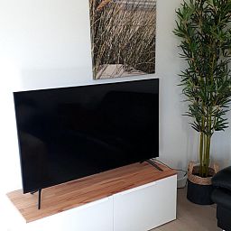 Stilvolle TV-Ecke im Ferienhaus VZ2416, Oostkapelle, Walcheren, mit modernem Flachbildschirm und dekorativer Pflanze.
