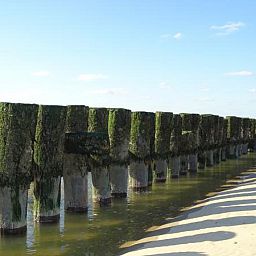 Strand in der Naehe des Ferienhauses ZE069 in Oostkapelle, Walcheren, mit weitem Sand und blauen Wellen.