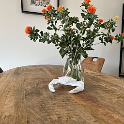 Unterkunft 620310 - Ferienhaus Walcheren - ZE730