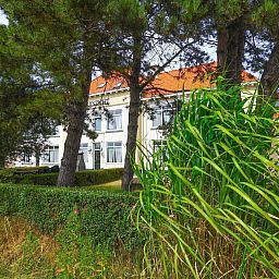 VZ131 Group accommodation Westkapelle, vacation home in Zeeland with natural surroundings and tall trees.