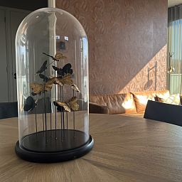 Guest house 620488 - Holiday property Walcheren - ZE1123