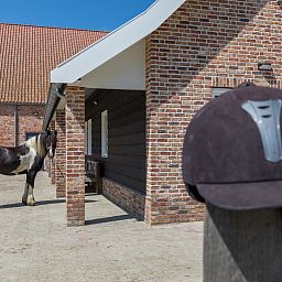 Moderne keuken in vakantiehuis ZE1445 in Aagtekerke, Walcheren met alle voorzieningen.
