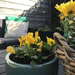 Verblijf 620612 - Vakantiewoning Walcheren - ZE1705