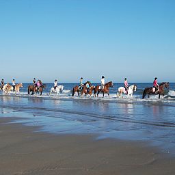 Stijlvolle woonkamer van ZE1448 vakantiehuis in Aagtekerke, Walcheren, met moderne inrichting.