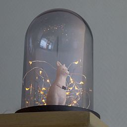 Verblijf 620994 - Vakantiewoning Walcheren - Vakantiehuis Studio Rustenpolder