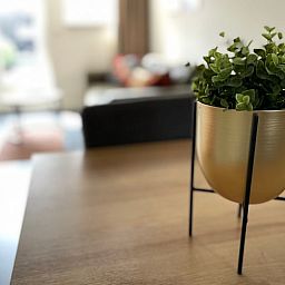 Detail van de interieurdecoratie in Huisje in Veere, vakantiehuis in Walcheren, Zeeland met moderne planten.