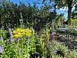 Guest house 621110 • Holiday property Walcheren • Vakantiehuis in Serooskerke (Walcheren)  • 5 of 26