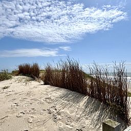 Verblijf 621603 - Vakantiewoning Walcheren - Vakantiehuis De Ruiser