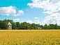 Guest house 622406 • Holiday property Walcheren • VZ662 Groepsaccommodatie 16 personen  • 2 of 26