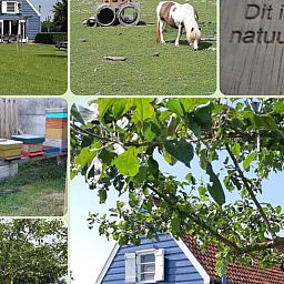 Guest house 631305 - Holiday property Zeeuws-Vlaanderen - Vakantiehuis in Sluis