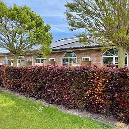 Unterkunft 631425 - Appartement Zeeuws-Vlaanderen - Het Platte Putje - Huisdiervrij - nr3
