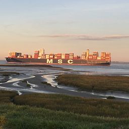 Schoener Meerblick im Ferienhaus in Walsoorden, Zeeuws-Vlaanderen, Zeeland.