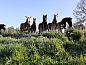 Guest house 632508 • Holiday property Zeeuws-Vlaanderen • Vakantiehuis in Oostburg  • 11 of 17