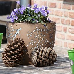 Guest house 632609 - Holiday property Zeeuws-Vlaanderen - Vakantiehuis in Zuidzande