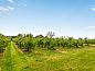 Guest house 633302 • Holiday property Zeeuws-Vlaanderen • Vakantiehuis De Orangerie  • 14 of 22
