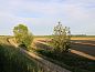Guest house 642031 • Holiday property Zuid-Beveland • Vakantiehuisje in Wolphaartsdijk  • 13 of 26