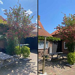 Unterkunft 642302 - Ferienhaus Zuid-Beveland - ZE1285