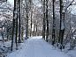 Guest house 642707 • Holiday property Zuid-Beveland • Vakantiehuisje in Kwadendamme  • 14 of 19