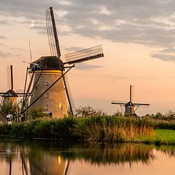 Geniessen Sie die Natur im Ferienhaus ZH487 in Goudriaan, Suedholland, mit bunten Voegeln in der gruenen Umgebung von Alblasserwaard.