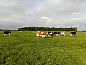 Guest house 651303 • Holiday property Alblasserwaard • Vakantiehuis in Streefkerk  • 5 of 10