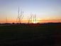 Guest house 651303 • Holiday property Alblasserwaard • Vakantiehuis in Streefkerk  • 9 of 10