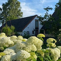 Green surroundings with trees near Cottage in Stolwijk, vacation accommodation in Alblasserwaard, South Holland.