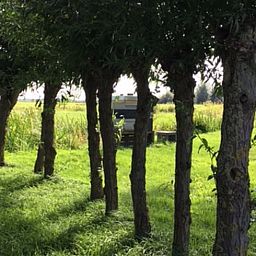 Beautiful sunset at Cottage in Stolwijk, vacation home in Alblasserwaard, South Holland.
