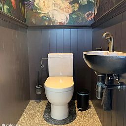 Verblijf 651703 - Vakantiewoning Alblasserwaard - Rustig huis in prachtig landschap