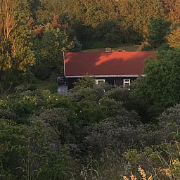 Vakantiehuis in Ouddorp omgeven door weelderige natuur in Goeree-Overflakkee, Zuid-Holland.