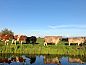 Guest house 670904 • Holiday property Groene hart • Huisje in Nieuwveen  • 8 of 13