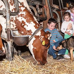 Children enjoy the farm experience at Holiday Home in Nieuwveen, Green Heart, South Holland.