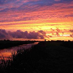 Unterkunft 671810 - Ferienhaus Groene hart - ZH058