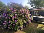 Guest house 672303 • Holiday property Groene hart • Huisje in Zevenhoven  • 10 of 21